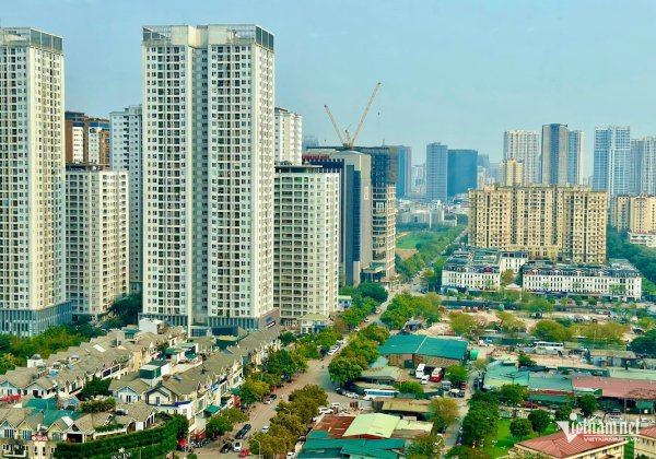 Giá căn hộ    Fever    nguội ở
